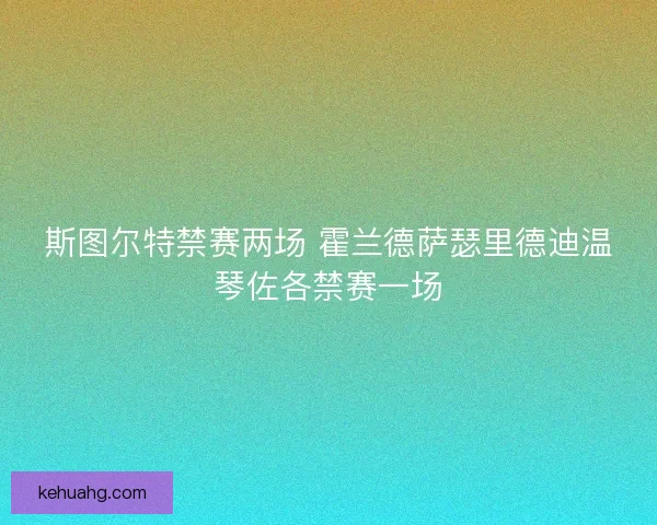 斯图尔特禁赛两场 霍兰德萨瑟里德迪温琴佐各禁赛一场